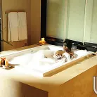 Jada Fire in 'A Touch of Seduction Scene 3'