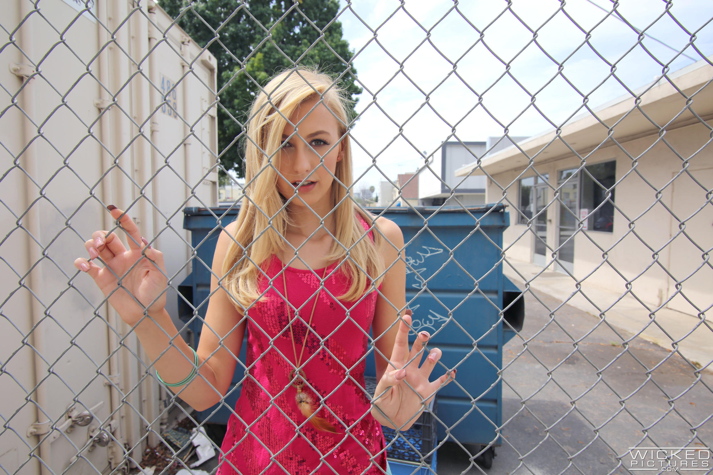 Public Penetration Scene 1