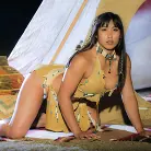 Amber Rayne in 'Wanted Scene 3'