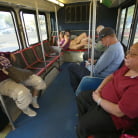 Anastasia Black in 'Ass Transit Scene 1'